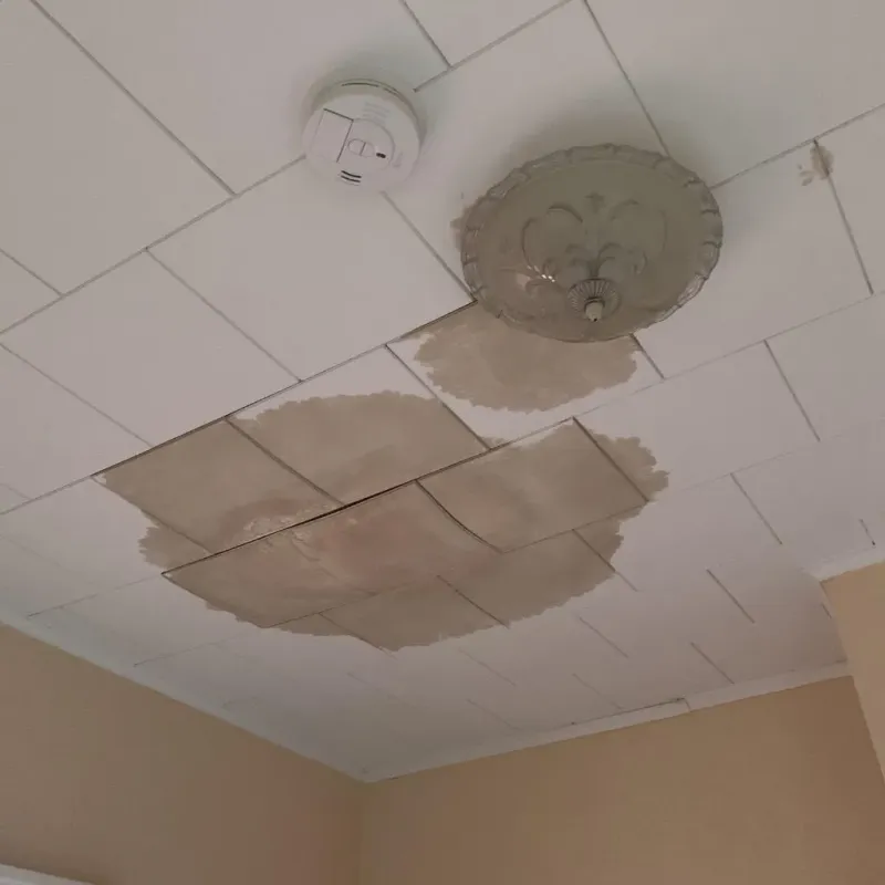 Ceiling Water Damage Repair in Saint Francisville, LA