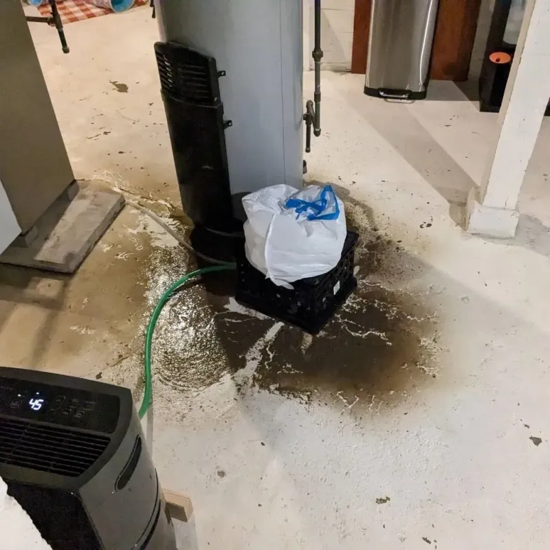 Sewage Backup Cleanup Service in Saint Francisville, LA